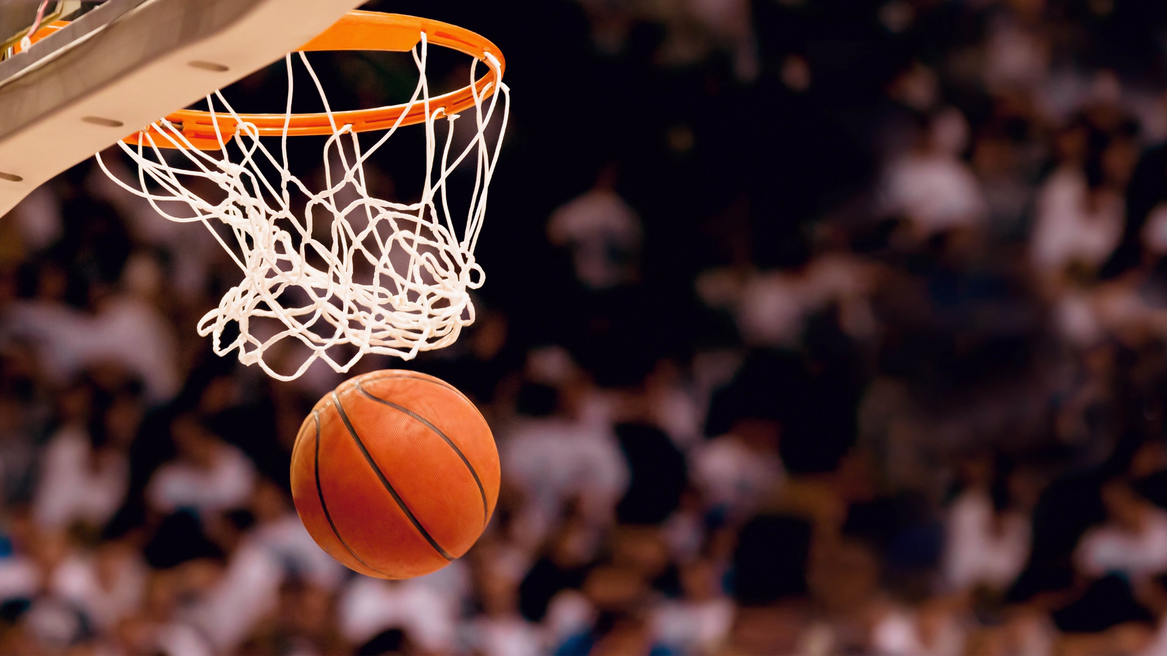 穆雷球队14人名单深度解析，官方阵容配置与赛季前景展望|pg娱乐电子游戏